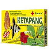 Ketapang - 6 saszetek