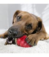 Kong Marathon M Peanut Butter