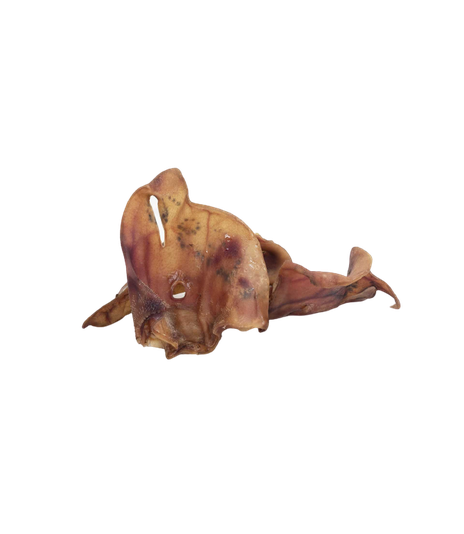 Ucho wieprzowe 1szt.