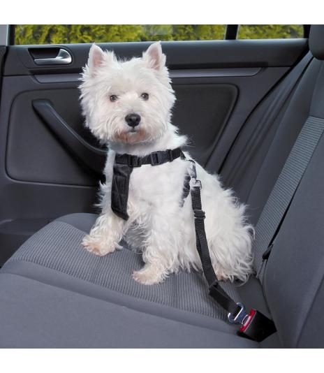 Szelki samochodowe - pasy dla psa - rozmiar S