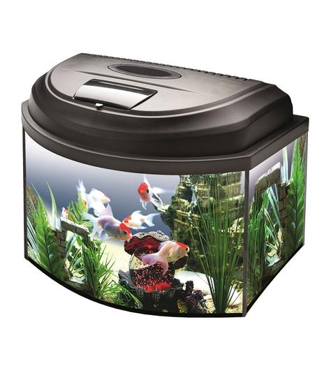 Zestaw akwariowy Aqua4Kids Owal 20l