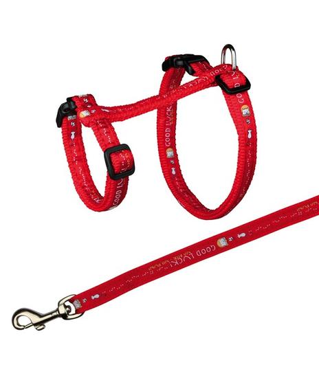 Komplet dla kotów ras dużych - 34–57cm/13mm