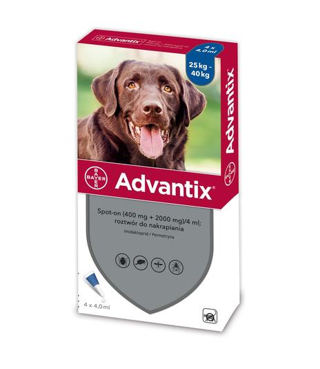 Krople Advantix Spot-on 4ml (powyżej 25kg)