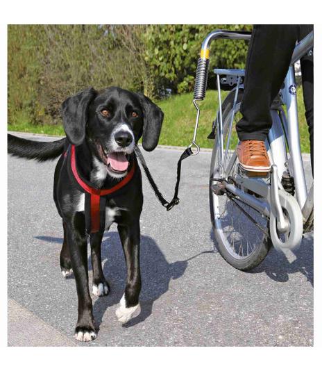 Zestaw rowerowy - uchwyt + smycz