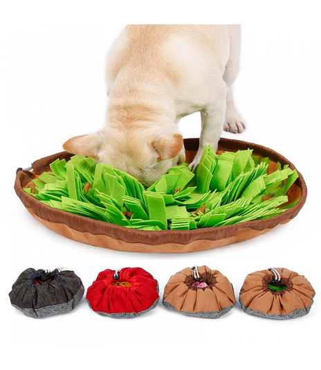 Mata węchowa Slow food