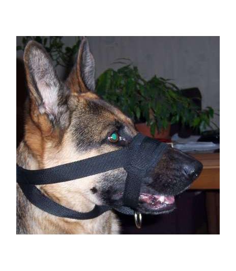 Kantar, obroża uzdowa, halti - regulowany