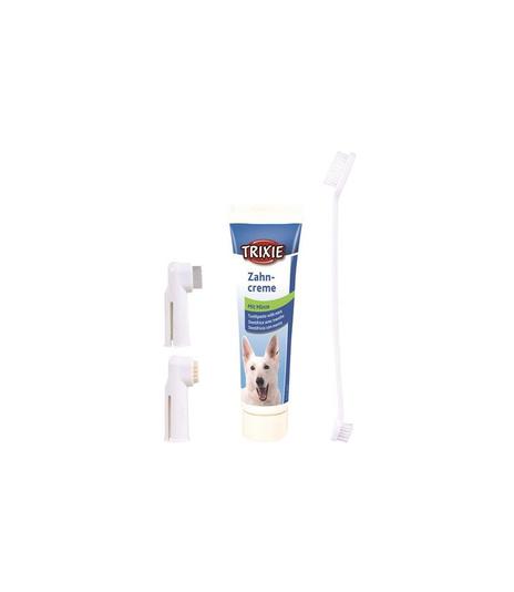 Zestaw do czyszczenia zębów