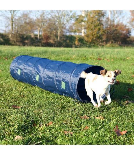 Tunel sztywny Agility - 40cm/2m