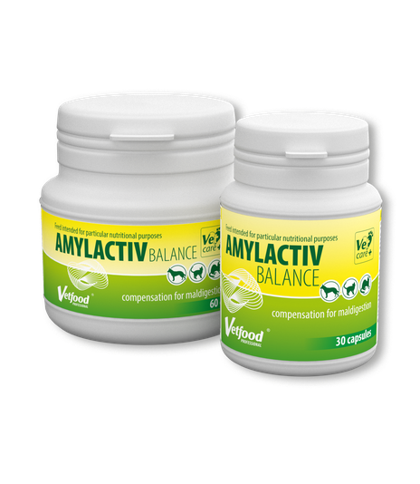 Amylactiv Balance 60 kaps.