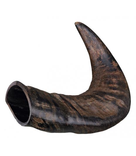 Róg bawoli - średni