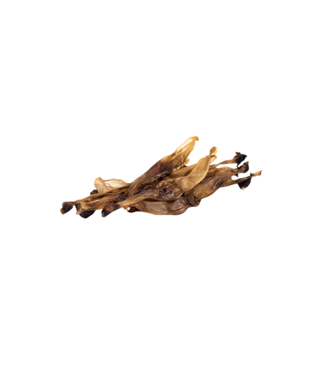 Ucho królicze bez futra