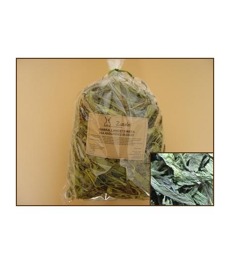 Babka lancetowata suszona Zuzala 150g