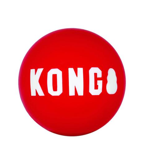 Signature Ball L 2 szt Kong