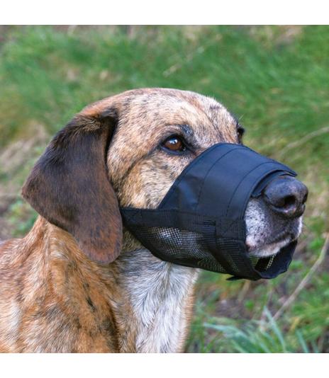 Kaganiec siatkowy - L-XL