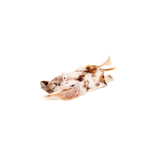 Ucho królicze z futrem