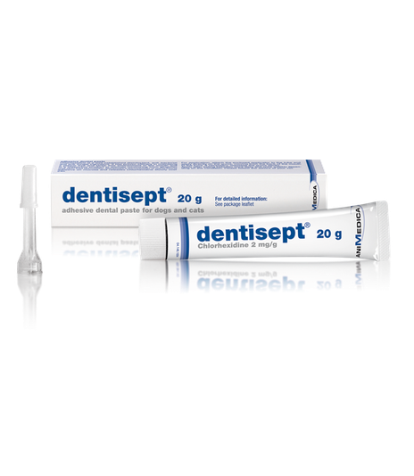 Dentisept 20g