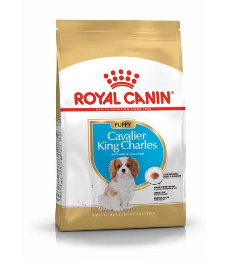 Royal Canin Cavalier King Charles Puppy 1,5kg