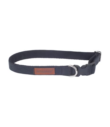 Obroża regulowana Cambridge L