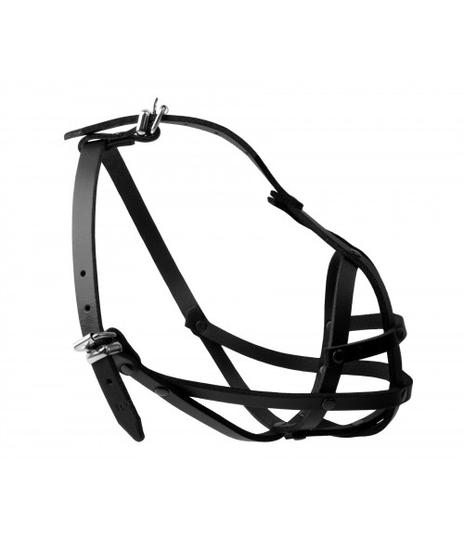 Kaganiec skórzany nitowany 5 Shith Tzu