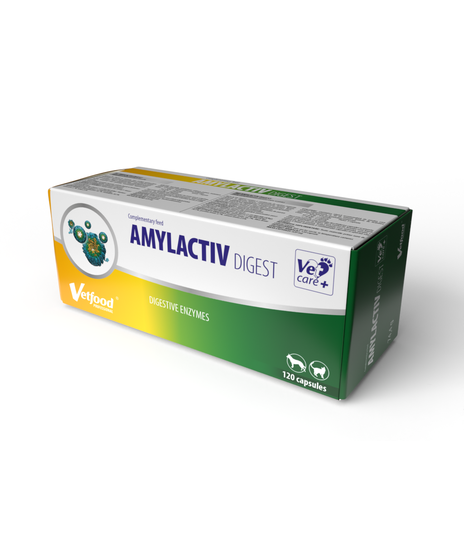 Amylactiv Digest 120 kaps.