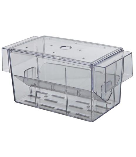 Kotnik dla ryb żyworodnych