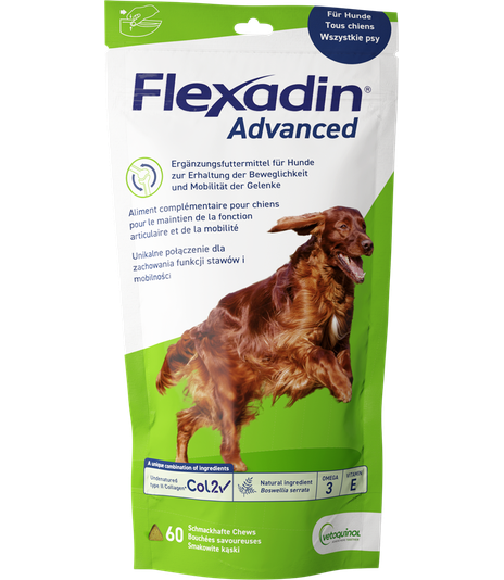 Flexadin Advance 60 kąsków - 2 opakowania