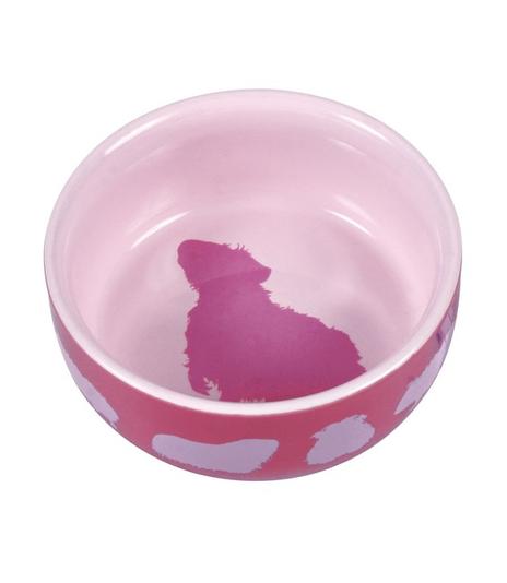 Miseczka ceramiczna dla gryzoni - 250ml/11cm