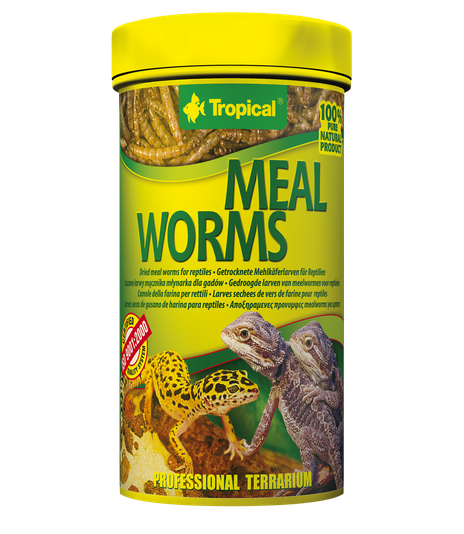 Tropical Meal Worms - 30g/250ml