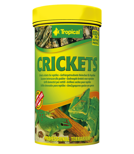 Tropical Crickets - 25g/250ml
