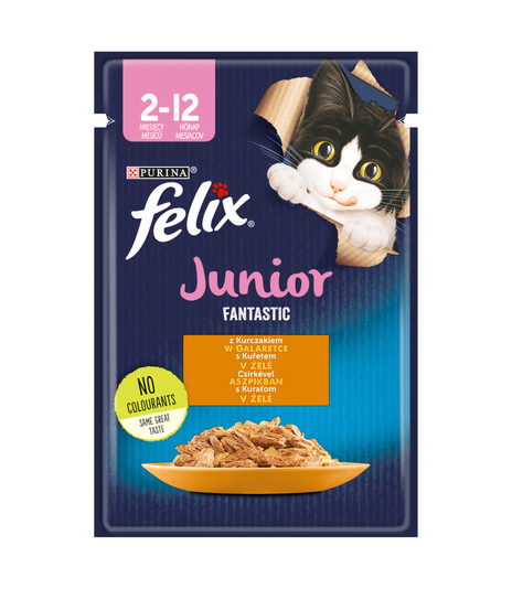 Felix Fantastic Junior 85g