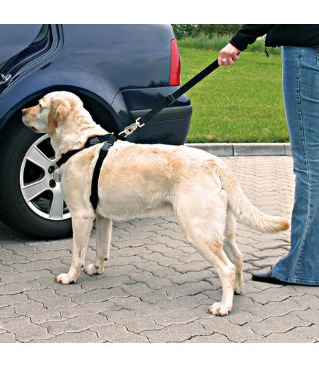 Szelki samochodowe - pasy dla psa - rozmiar L