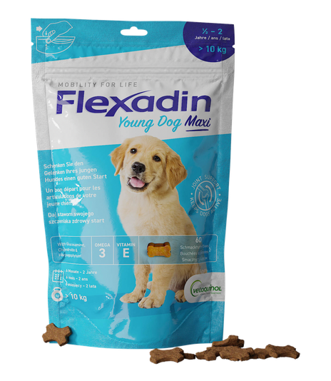 Flexadin Young Dog Maxi 60 kęsów