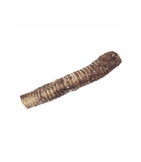 Tchawica wołowa 35cm