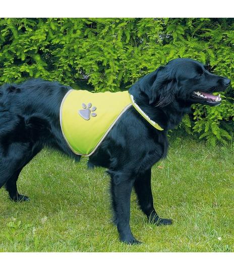 Odblaskowa kamizelka - S