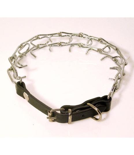 Kolczatka zapinana 1