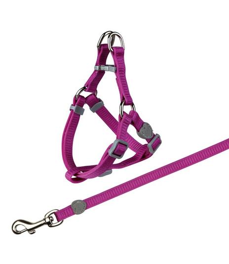 Komplet dla kota - 26-37cm/10mm