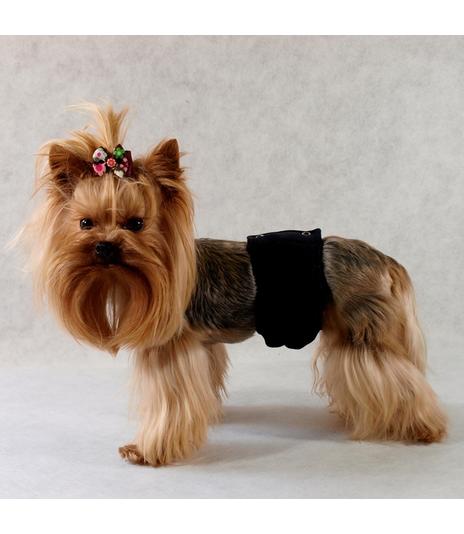 Majtki dla samców Pampas - 1 (XXS)