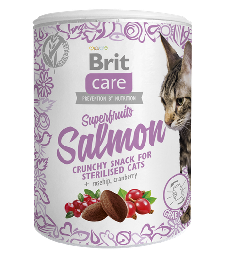 Brit Care Cat Snack Superfruits Salmon 100g