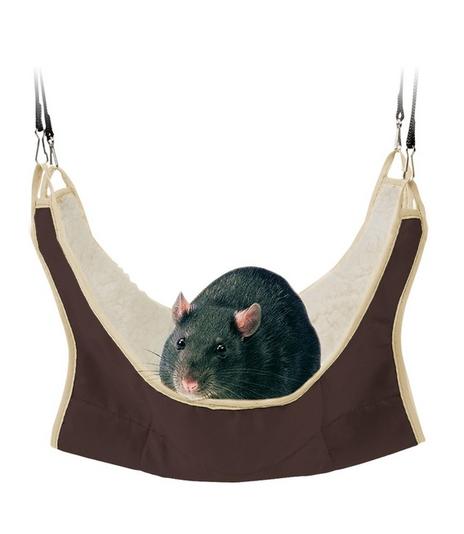 Hamak dla szczura