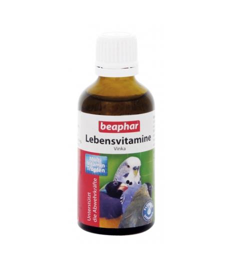Lebensvitamine - 50ml