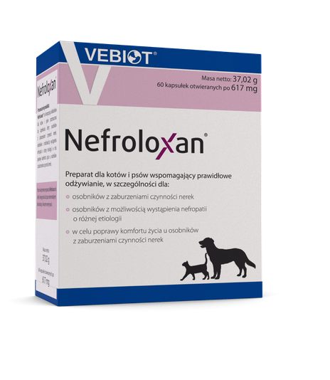 Nefroloxan 60 kapsułek