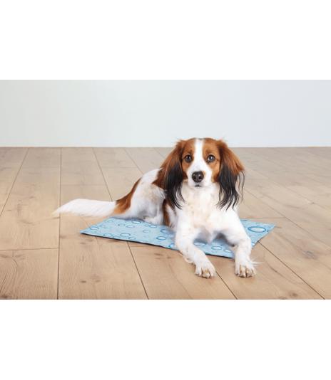 Mata chłodząca jasnoniebieska - 65 × 50 cm