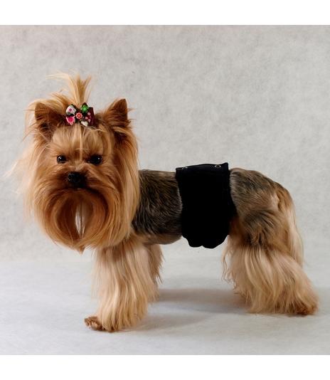 Majtki dla samców Pampas - 3 (S)