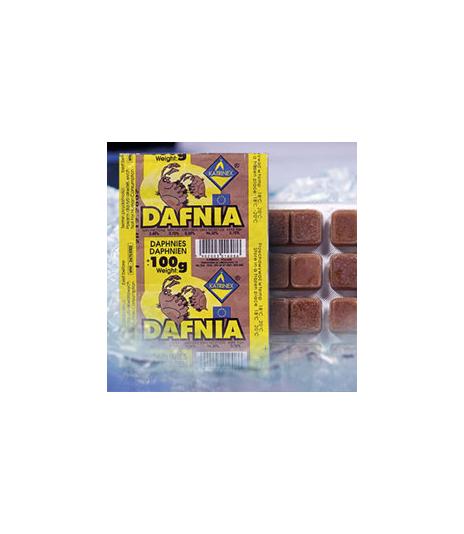 Daphnia mrożona - 100g - rozwielitka dafnia