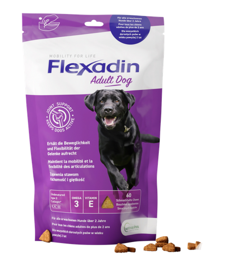 Flexadin Adult Dog 60 kęsów
