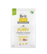 Brit Care Dog Sustainable Puppy Chicken & Insect 3kg