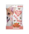 Tender Loving Care Soft Snack Salmon 100g