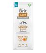 Brit Care Dog Grain-free Adult Senior & Light Salmon 12kg
