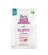 Brit Care Dog Grain-free Puppy Salmon 3kg