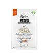 Brit Care Dog Hypoallergenic Dog Show Champion 3kg
